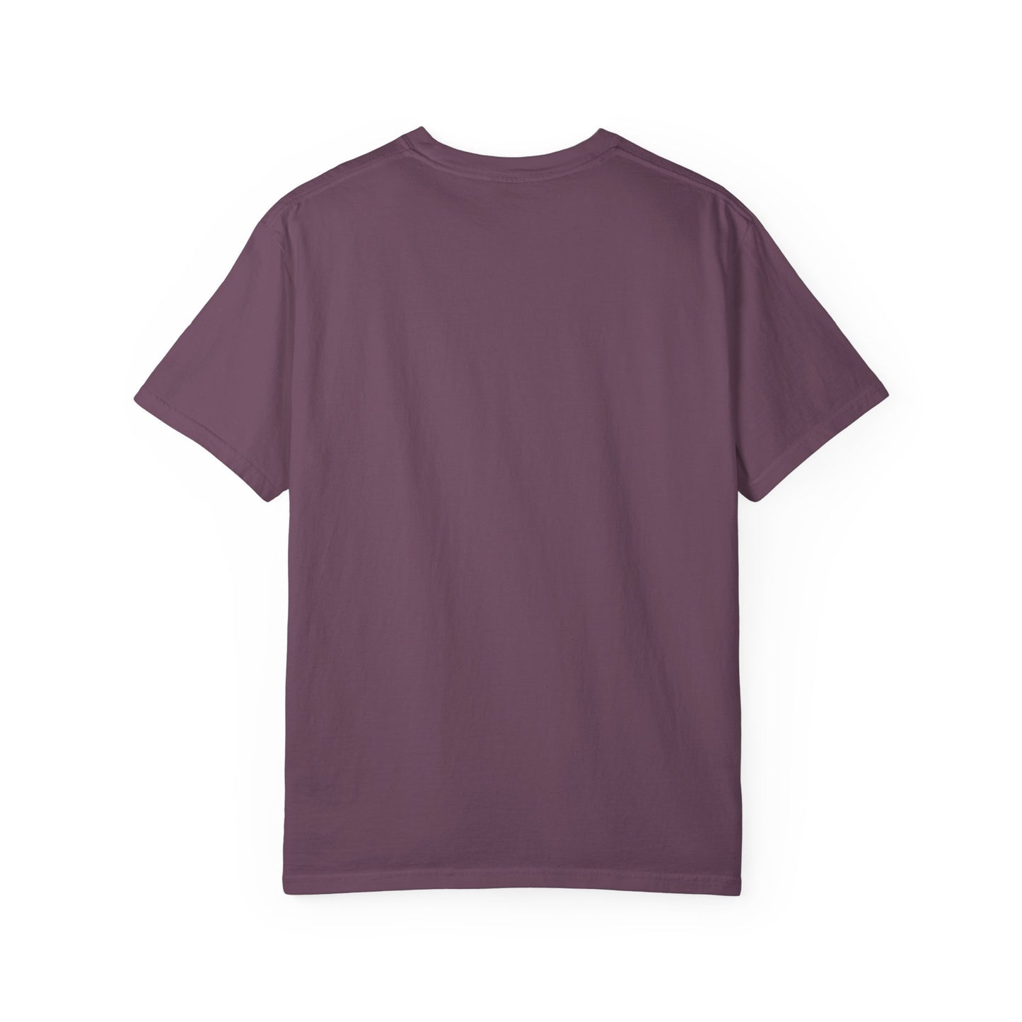 Let's Learn Today Comfort Colors Tee