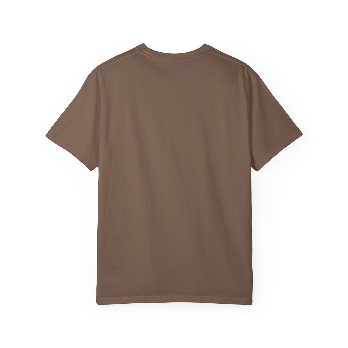 Let's Learn Today Comfort Colors Tee
